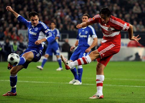 态异军突起 态异军突起